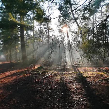Bed & Breakfast Neeltje Soet Mierlo