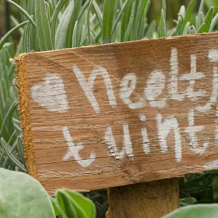 Neeltje Soet