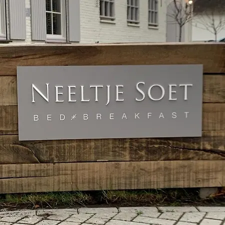 Neeltje Soet *