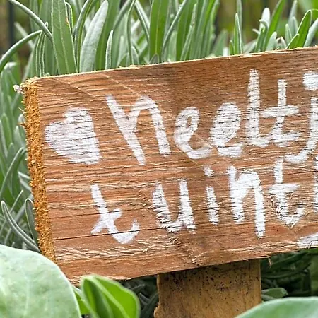 Neeltje Soet 4* Мирло