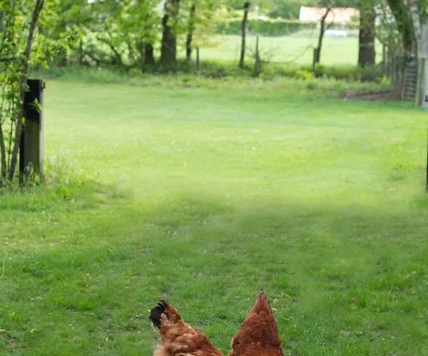 Oda ve Kahvaltı Neeltje Soet Mierlo