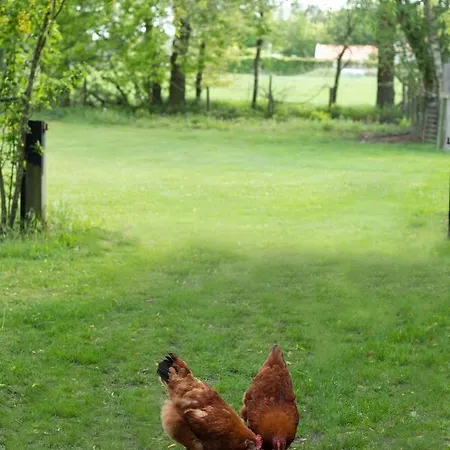 B&B Neeltje Soet 미를로