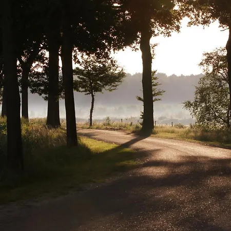 Neeltje Soet Bed and Breakfast 4*