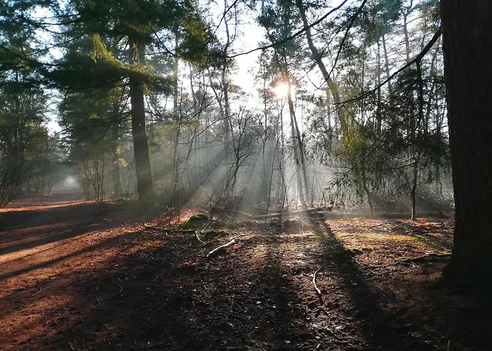 Bed and Breakfast Neeltje Soet Mierlo